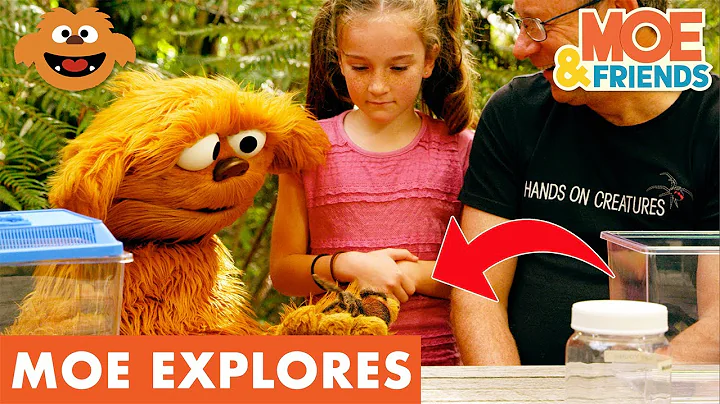 Moe Explores Spiders | Kids Learn About the World Around Them | #MoeExplores