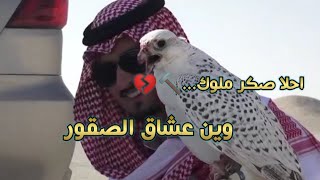 وين عشاق الصقور الملكية.... /شوفو هيبة الصگر 🤭