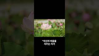 “마음을 지키는 자가, 가장 위대한 자입니다 – 법구경”
