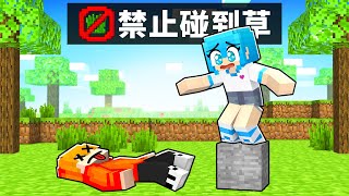 千萬不要碰到草❌碰到草就會死😱【Minecraft 】