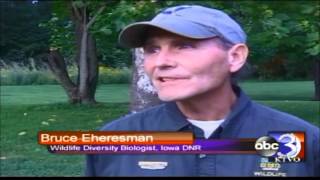 Potential bird conservation area coming to Lacey Keosauqua State Park screenshot 5