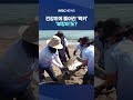 건강하게 돌아간 '럭키'‥'부캉이'도? #Shorts (MBC뉴스)