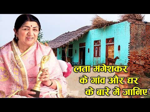 वीडियो: लता के जंगल में भागा कहाँ है?