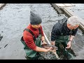 Unveiling the rainbow vs steelhead mystery  dive into the distinctive world of trout varieties