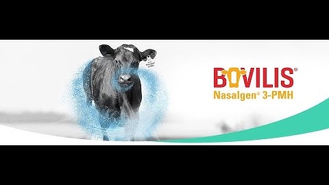 Bovilis® Nasalgen® 3-PMH