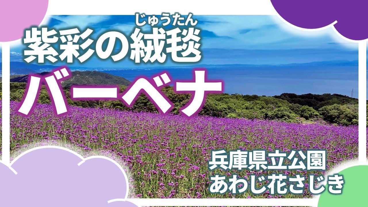 A Stunning View of Vibrant Purple] Sea, Sky, and Flower Fields: A