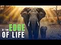 WHAT KEEPS THE AFRICAN SAVANNA ALIVE CHALLENGES SCIENTIFIC EXPLANATIONS
