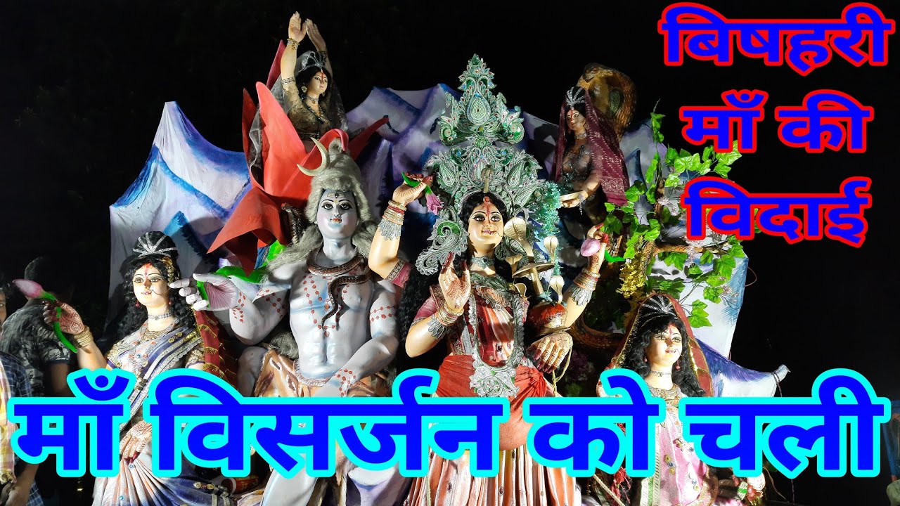 बिषहरी माता का विसर्जन। Bishari mata ka Visharjan. Bishari puja Visharjan. Bishari puja video.