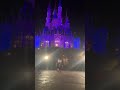 #runDisney #princesshalf #princesshalfmarathon #WaltDisneyWorld #running #HalfMarathon #disneyparks