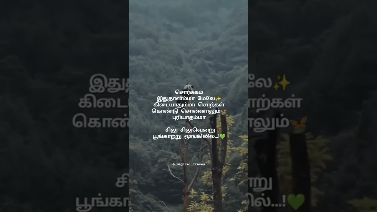 Silu Silu Song Lyrics  Magical Frames  WhatsApp Status Tamil  Tamil Lyrics Song