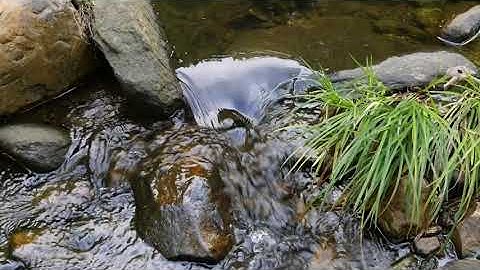 HTML Energy with Marie Otsuka