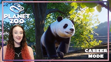 STOLEN PANDA?! // Planet Zoo: Career