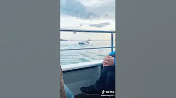 اجمل اغنية تركية تشك شكر 
