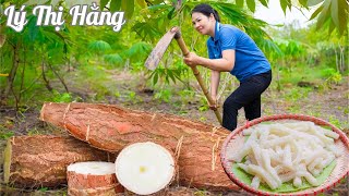 Harvesting Cassava & Go to the Market Sell - Harvesting & Cooking || Ly Thi Hang Daily Life