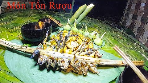 #6 Sinh Tồn Trong Rừng, Đặt Bẫy Quây Gốc Sung Hình Chữ O và Tìm Thức Ăn  IThợ Rừng Núi