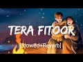 Tera fitoor slowedreverb arijit singh  nextaudio music  textaudio