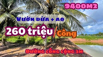 MS1863: 260 triệu, 9400M2 VƯỜN DỪA VÀ AO GIÁ RẺ XÃ TÂN THỚI, View ra sông cửa Đại 