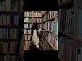 reader girliesss #kpop #pop #tut #diy #trending #aesthetic #glowup #ideas #food #fashion #fun #fyp