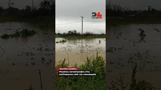 Οροπέδιο Λασιθίου: Mεγάλες καταστροφές στις καλλιέργειες από την κακοκαιρία
