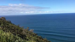 Taking off from Otford Lookout