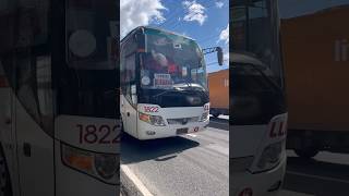 YUTONG  LLI 1822 1864 209 Hyundai DLTB Co.  Amihan DAEWOO 18318 #seanescapade #alagangjac