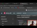 Angular developer guides