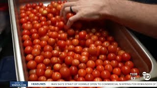 Local businesses talk impact as tomato prices reach an eight-year high in March
