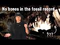 Ghost Hominins (That We Know Of?) | Lindsay Nikole Mp3 Song