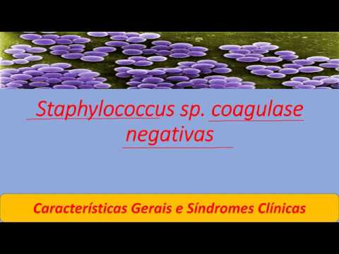 Vídeo: Produção De Biofilme De Estafilococos Coagulase-negativos Isolados De Animais Selvagens Resgatados Na República Da Coréia