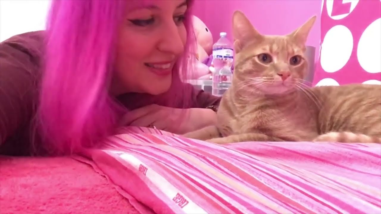 Il video dell'arrivo di Pallino in casa Pezzoffa