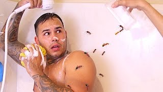 FIRE RED ANTS PRANK