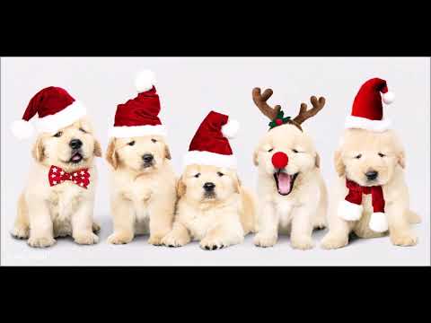 Einen schönen 2. Advent, Ich wünsche Dir Ruhe und Besinnlichkeit zum 2. Advent