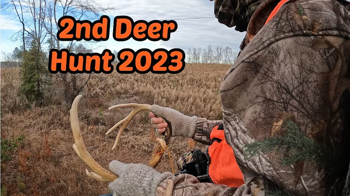 Uwharrie Deer Hunt with 35 Remington -   Deer seen! Uwharrie National Forest