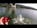 FISHING WITH BLUEGILL FOR CATFISH!!! Tips, Setup, Technique