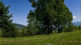 Teren Superb De Vanzare In Satul Pestera, Zona Bran - Moeciu, Judetul Brasov Teren Superb De Vanzare In Satul Pestera, Zona Bran - Moeciu, Judetul Brasov