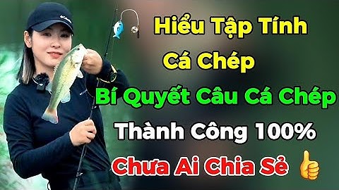 🎣 Hiểu Tập Tính Cá Chép – Bí Quyết Câu Cá Chép Thành Công 100% Chưa Ai Chia Sẻ