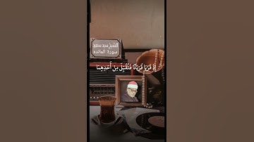#قران_كريم #الشيخ #سيد_سعيد #سورة_المائدة #اكسبلور #اللهم_صل_وسلم_على_نبينا_محمد