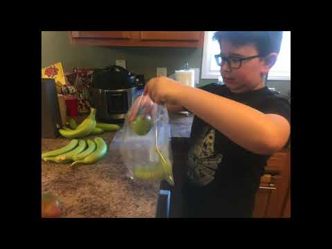 Bananas - A Science Fair Experiment