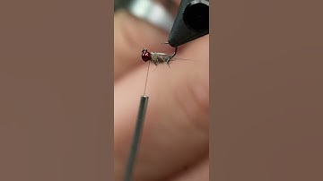 The Jigged Version of a Garbage Fly!