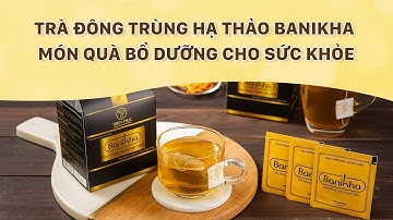 TRÀ ĐÔNG TRÙNG HẠ THẢO BANIKHA - MÓN QUÀ BỔ DƯỠNG CHO SỨC KHỎE