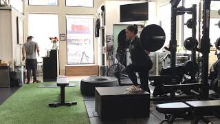 Alternating Barbell Step Up