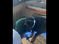 13-Year-Old Dachshund Was Facing Euthanasia With A Possible Cancerous Mass [STORY BELOW]
