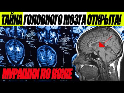 ФИЛЬМ ЗАПРЕЩЁН В 43 СТРАНАХ МИРА! (30.09.2021) ЖИЗНЬ ПОСЛЕ СМЕРТИ - ВСЯ ПРАВДА!