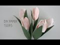 DIY Paper Tulip (how to make paper flower hand cut and machine cut)