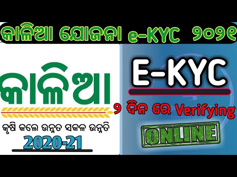 Kalia e-kyc Problem । Kalia kyc Problem #odishaabhijeet