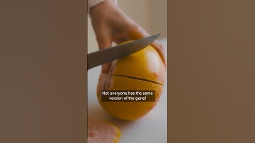 Why Can Grapefruit Taste Bitter?