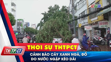 Cảnh báo cây xanh ngã, đổ do nước ngập kéo dài| Cần Thơ TV
