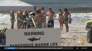 Shark attack victims speaks out about encounter