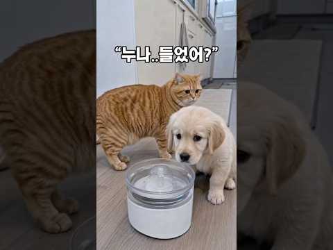 물통에서 이상한 소리가 나자 강아지가 누나부터 쳐다봤다 😂 thumbnail