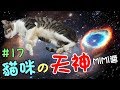 『貓咪的天神』既然養他，就要照顧他一輩子-MiMi醬 Cat Story#17